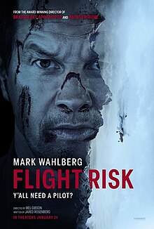 Flight Risk【高空殺機】